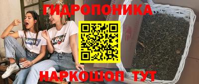 спиды Краснознаменск