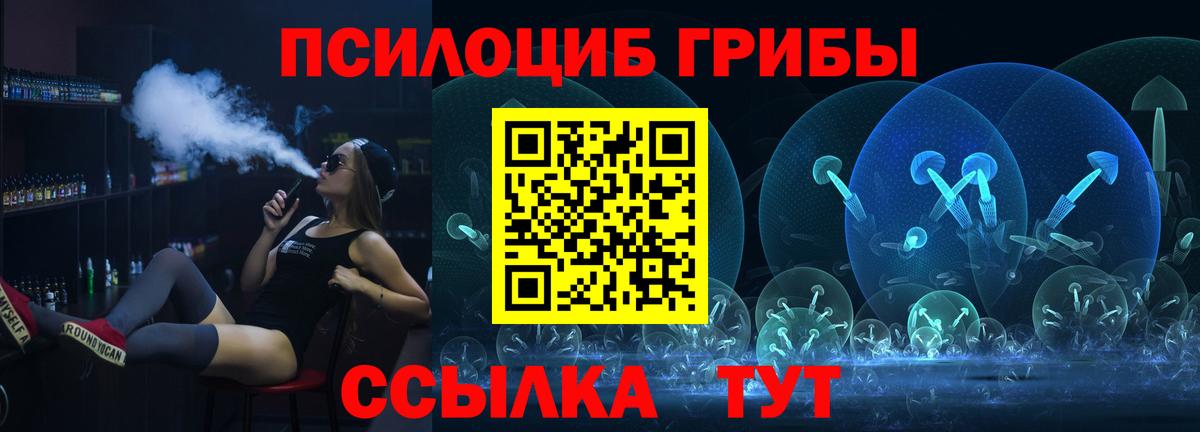 Псилоцибиновые грибы Psilocybe Куйбышев
