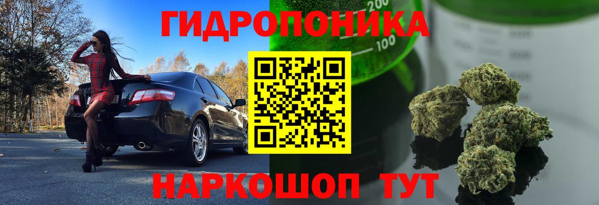 Канабис марихуана  Вход с VPN  Канабис сатива  Куйбышев  Бошки Шишки OG Kush 